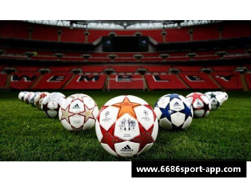 波黑球员：足球世界的明日之星